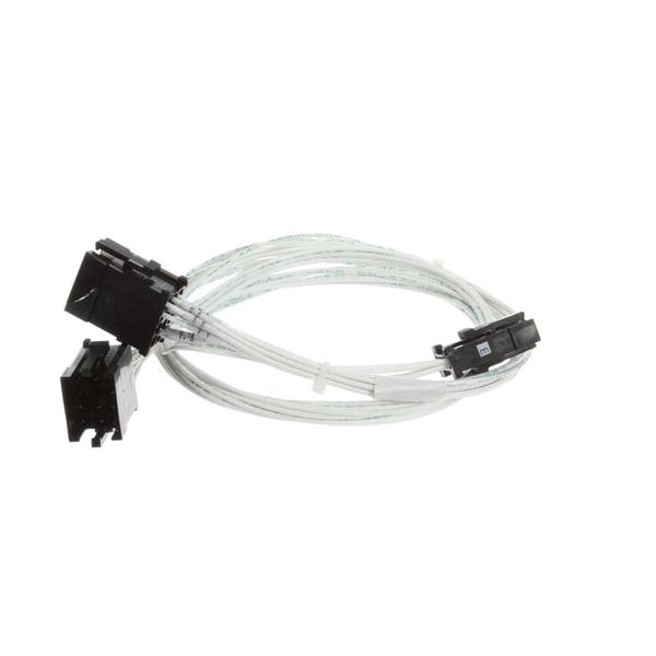 Harness, Assembly. Main (Ccs)